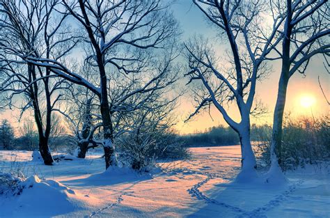 Winter Snow Nature Landscape Wallpaper 3630x2400 889085 Wallpaperup