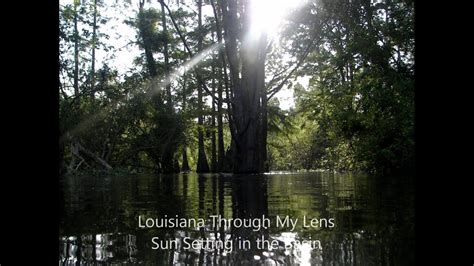Louisiana Through My Lens Photography Book Preview Acadiana