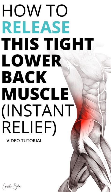 Effective Quadratus Lumborum Pain Release Technique Lower Back Pain