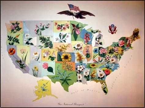 Vintage Us State Flower Map Flower Map Historical Art Map