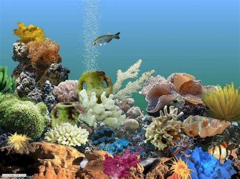 783 424 clips vidéo de stock de fond d écran en 4k et hd pour des projets créatifs. Ecran veille 3D , superbes images