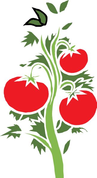 Tomato Plant Clip Art At Vector Clip Art