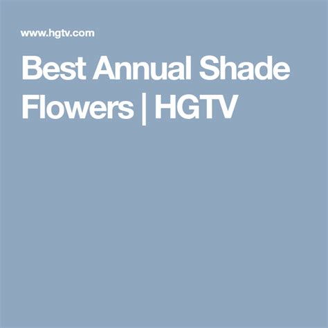 Best Annual Shade Flowers Hgtv Shade Annuals Annual Flowers For