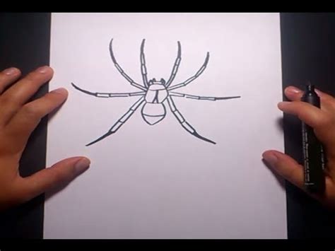 Sergio sepúlveda nos trae información sobre una nueva especie de araña violinista. Como dibujar una araña paso a paso 4 | How to draw a ...