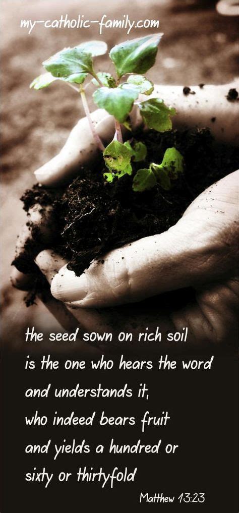 Todays Daily Scriptures Feature The Parable Of The Sower And The Seed