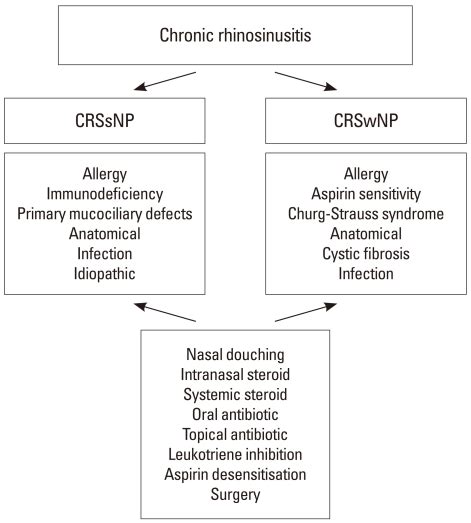 Summary Of Therapeutic Approaches To Chronic Rhinosinusitis Chronic