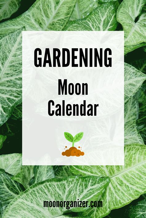 Gardening Lunar Calendar 2020 Planting By The Moon