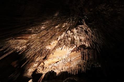 Mole Creek Caves 2021 All You Need To Know Before You Go Tours
