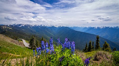 Free Nature Hd Wallpapers Downloads Beautiful Washington