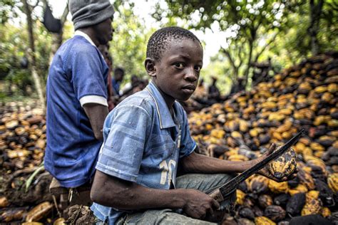 Report Exposes Child Labour Human Trafficking In Global Supply Chains