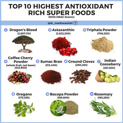 Dr Mark Iwanicki Store Top 10 Antioxidants On Earth