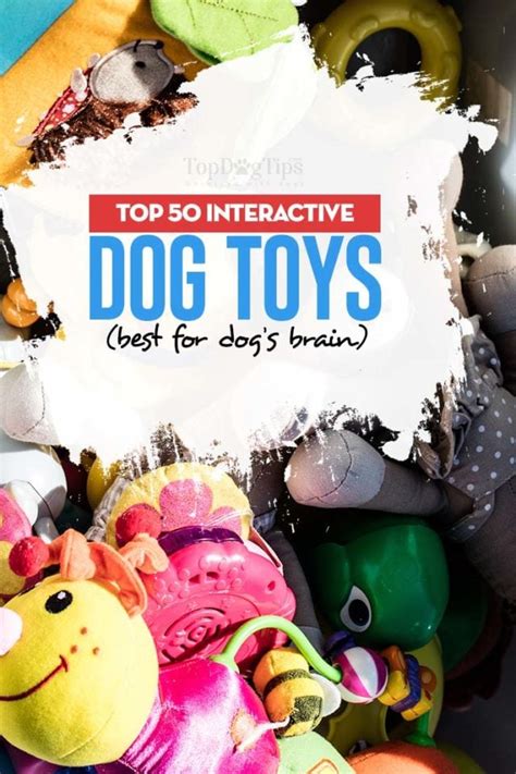 Top 50 Best Interactive Dog Toys Of 2019