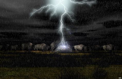 Buffalo Storm Digital Art By Walter Colvin Fine Art America