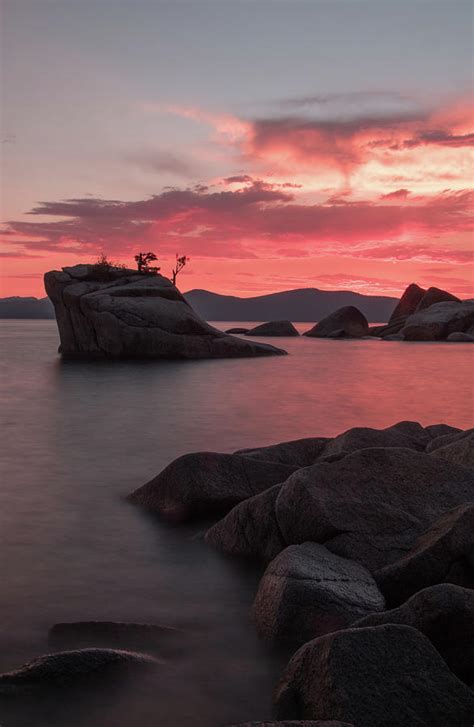 Bonsai Rock Lake Tahoe Photograph By James Lawson Fine Art America