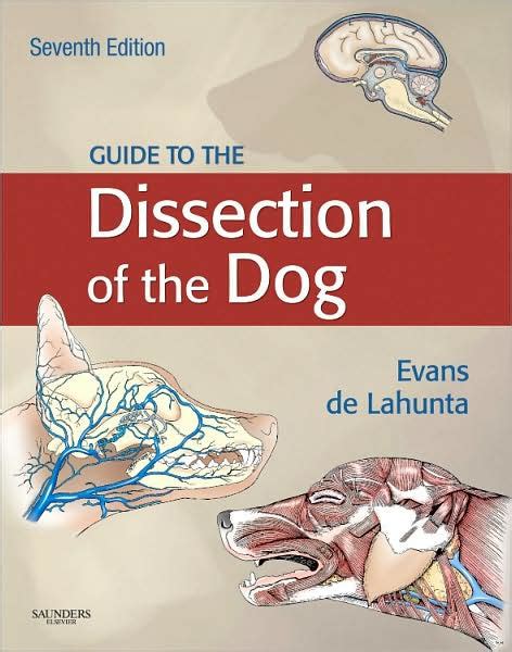 Guide To The Dissection Of The Dog Edition 7 By Howard E Evans