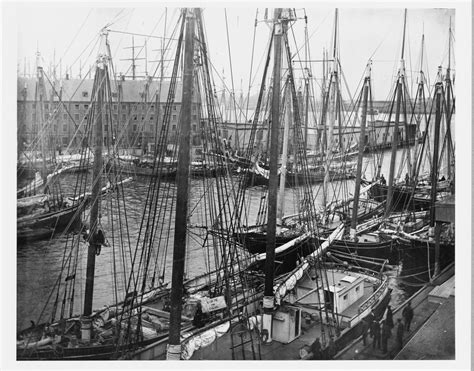 View Of Schooners At T Wharf Boston Mass 1880s Historic New England