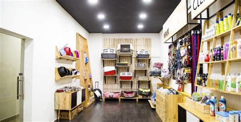 Find 754 affordable pet care options in denver, co. Best Pet Stores In Chennai | LBB, Chennai