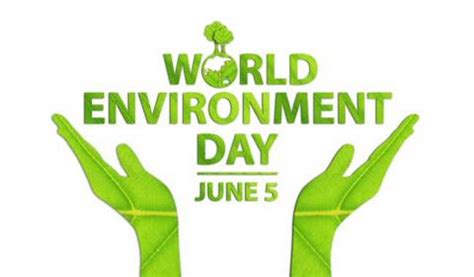 World environment day festival 2020. Today is World Environment Day! Beat Plastic Pollution ...