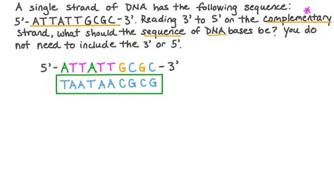 Base Sequence Of Dna