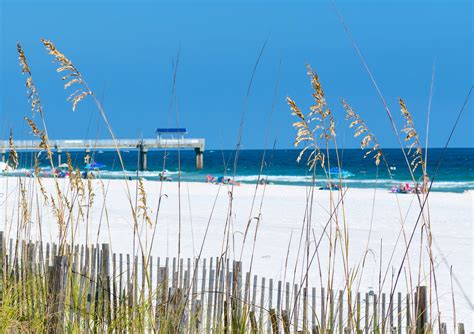 Best Beaches In Alabama Lonely Planet