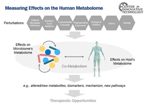 The Human Microbiomes Metabolome Center For Innovative Technology