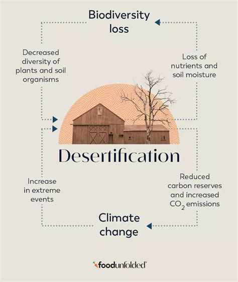 Desertification The Vicious Cycle Between Land Degradation And Climate