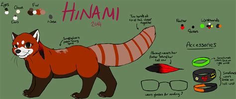 Hinami Red Panda Reference 2014 By Hinami On Deviantart