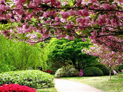 Lush Spring Gardens Hd Desktop Wallpaper Widescreen High Definition