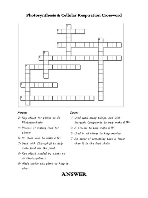 Photosynthesis across word list 3. Photosynthesis Crossword puzzle