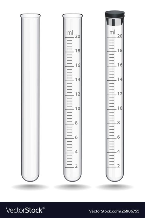 Set Glass Laboratory Test Tubes With A Scale Vector Image
