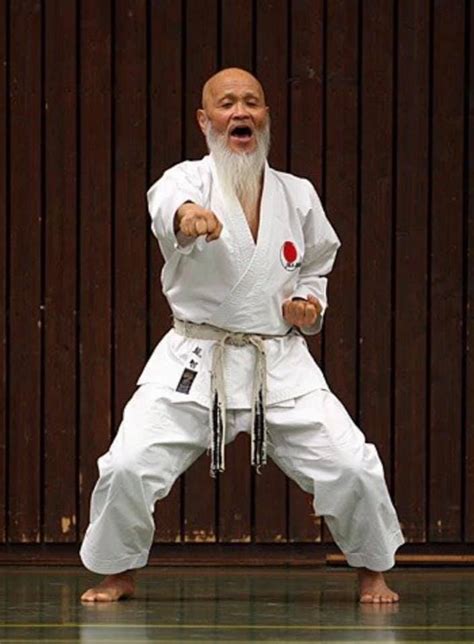 Sensei Hideo Ochi Shotokan Aikido Martial Arts Shotokan Karate