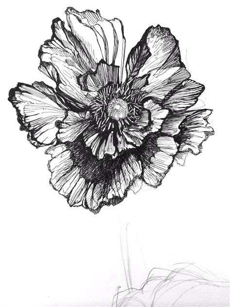 Poppy Illustration Black And White Pattern Print Textile Design