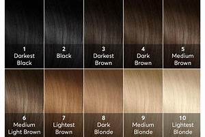 Easy Hair Color Hair Color Guide Natural Hair Color Levels Of Hair