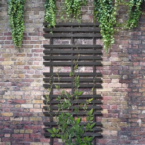 Tall & up garden trellises to reflect your style and inspire your outdoor space. 72 in. Wood Modern Ladder Trellis - Outdoor Essentials