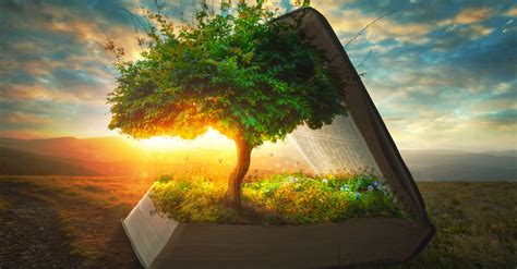 How 3 Biblical Trees Reveal The Wonder Of Salvation Explore The Bible