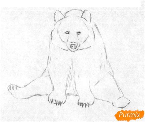 Kako Nacrtati Medvjeda U Vodi Sve O Tetovaži