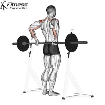 How To Barbell Rear Delt Raise Benefits Muscles Worked