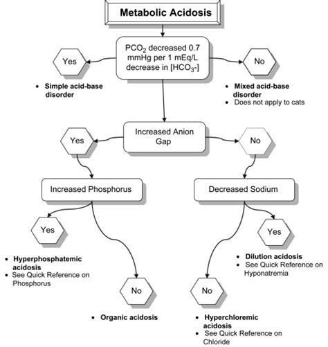 Metabolic Acidosis A Quick Reference Veterinary Clinics Small