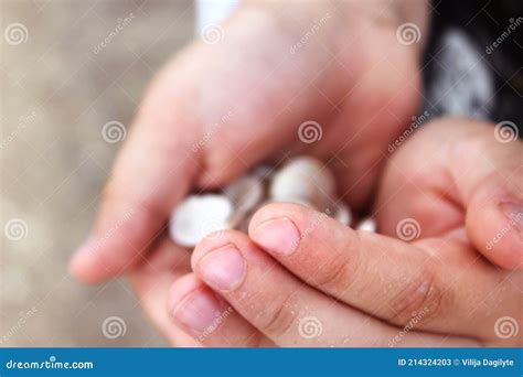 Boys Hands Full Of Shells Stock Image Image Of Baby 214324203