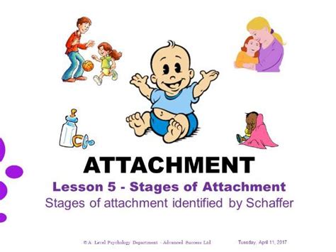 Powerpoint Attachment Lesson 5 Stages Of Attachment Identified By