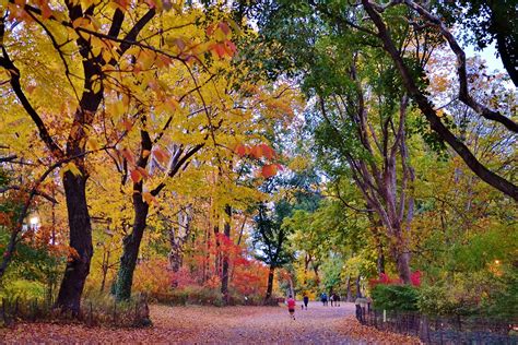 Check spelling or type a new query. Central Park-Bridle Path, 11.02.13 | A walk in Central ...