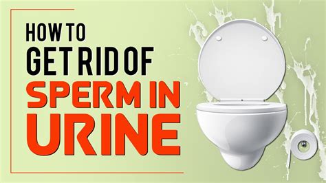 how to get rid of sperm in urine while passing stool youtube