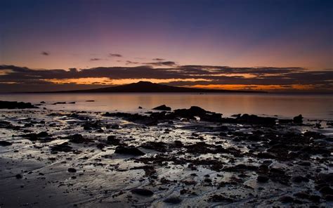 Landscape Auckland Beach Sunrise Rock New Zealand Wallpapers Hd