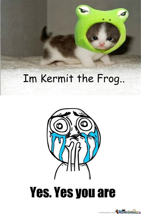 Im Kermit The Frog By Tt~tt Meme Center