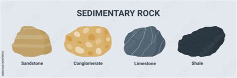 Sedimentary Rock Illustration Set Sandstone Conglomerate Limestone And