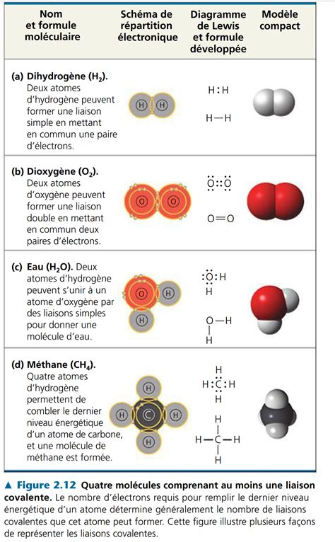 Chapitre 2 Atomes Molécules Et Liaisons Chimiques Comprendre Et