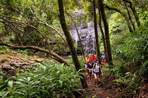 Kohala Waterfalls Adventure Starting At 190 Waikiki Adventures