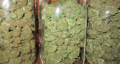 A troy ounce is a little bit heavier than the average ounce, converting to 31.1 grams per troy ounce and 1.097 dry ounces per troy ounce. how much does an ounce of weed weigh - Smoke Weed Inc