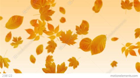 Falling Leaves Stock Animation 238122