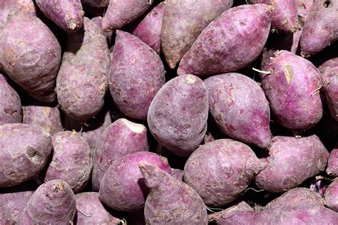 Purple Yam Ube Health Benefits Rritual Superfoods